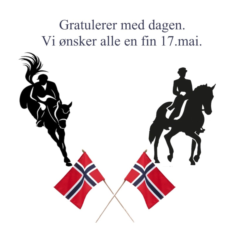 17.mai 2025